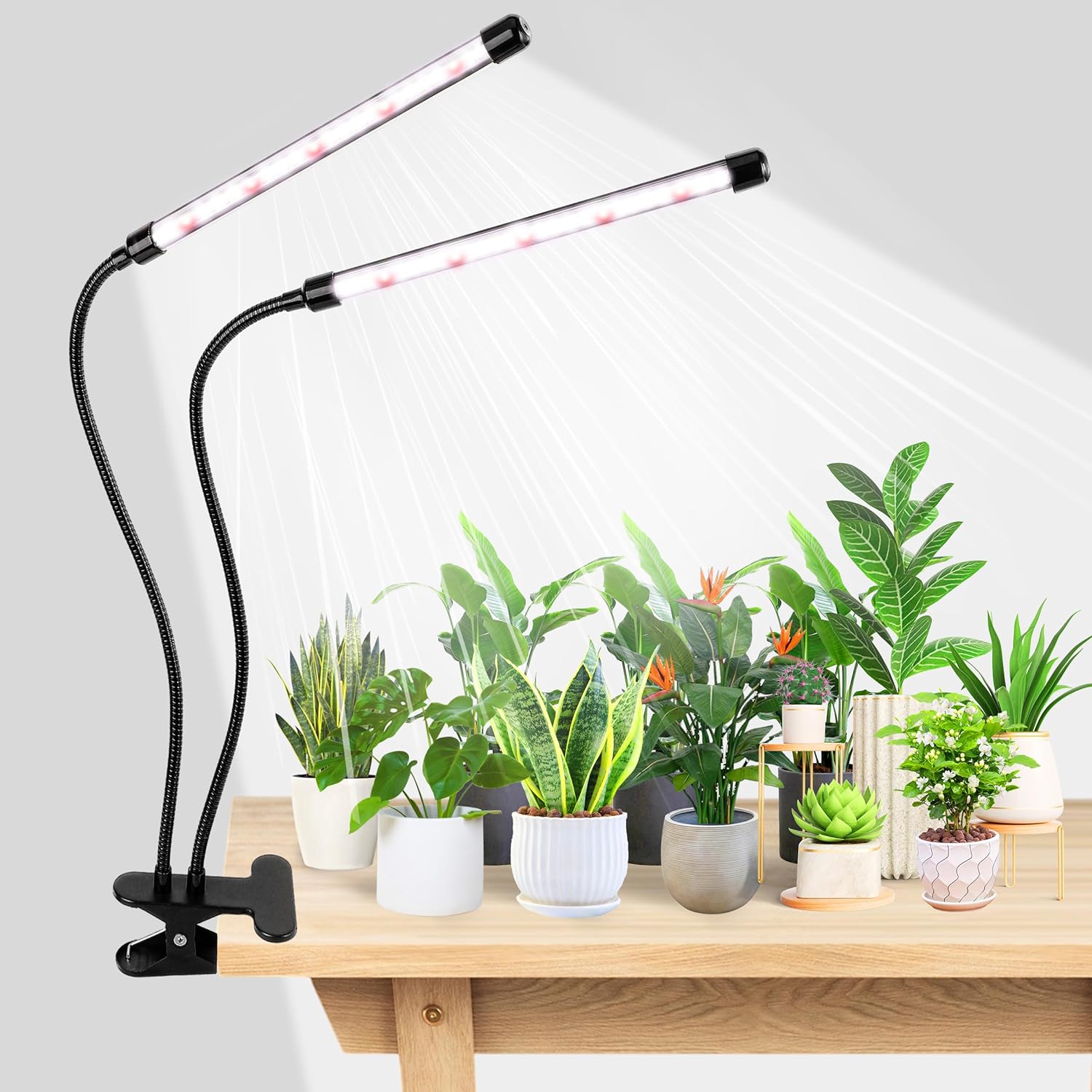 Hydroponic Nft Channel - مصباح نمو النباتات LED من KEBINCPLED