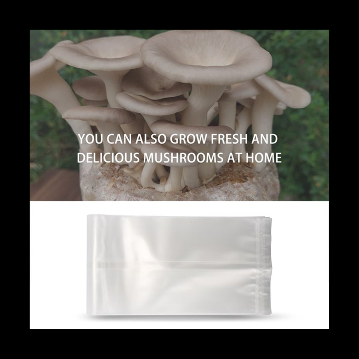 Mushroom Spawn Bag - أكياس فطر A78I مكونة من 50