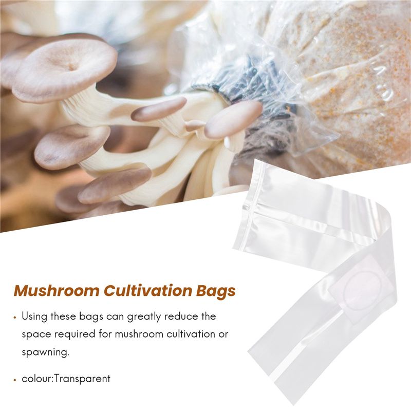 100 قطعة من أكياس زراعة الفطر، - مراجعة Mushroom Spawn Bag وسعره