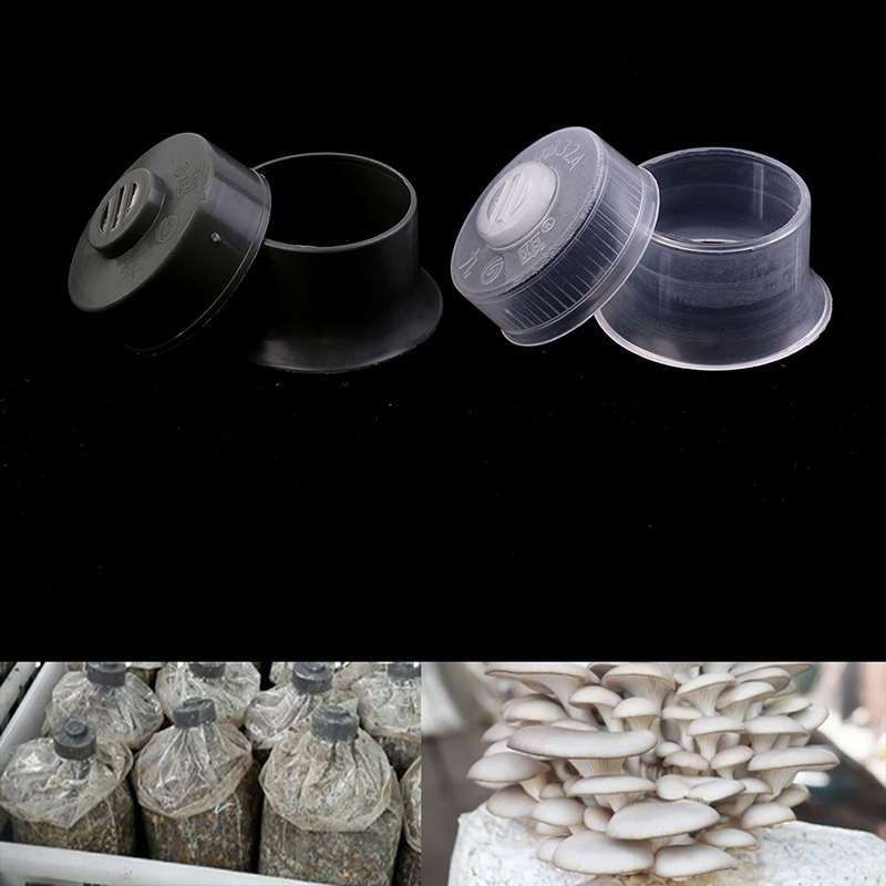 20 قطعة الفطر تفرخ تنمو قبعة ح - مراجعة Mushroom Spawn Bag وسعره