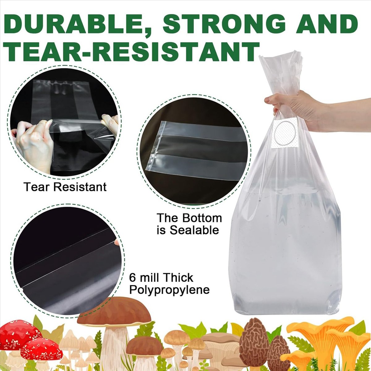 أكياس زراعة الفطر، 25 كيسًا من - مراجعة Mushroom Spawn Bag وسعره