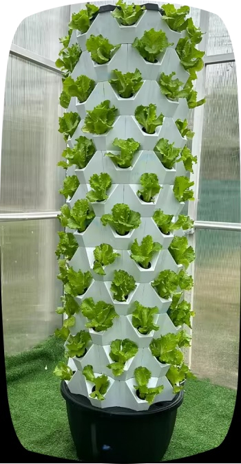 عجلات برج الحديقة العمودية نظا - مراجعة Agriculture Vertical Farming وسعره