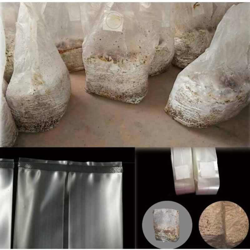 10x18x35 سنتيمتر 50 سنتيمتر ال - مراجعة Mushroom Spawn Bag وسعره