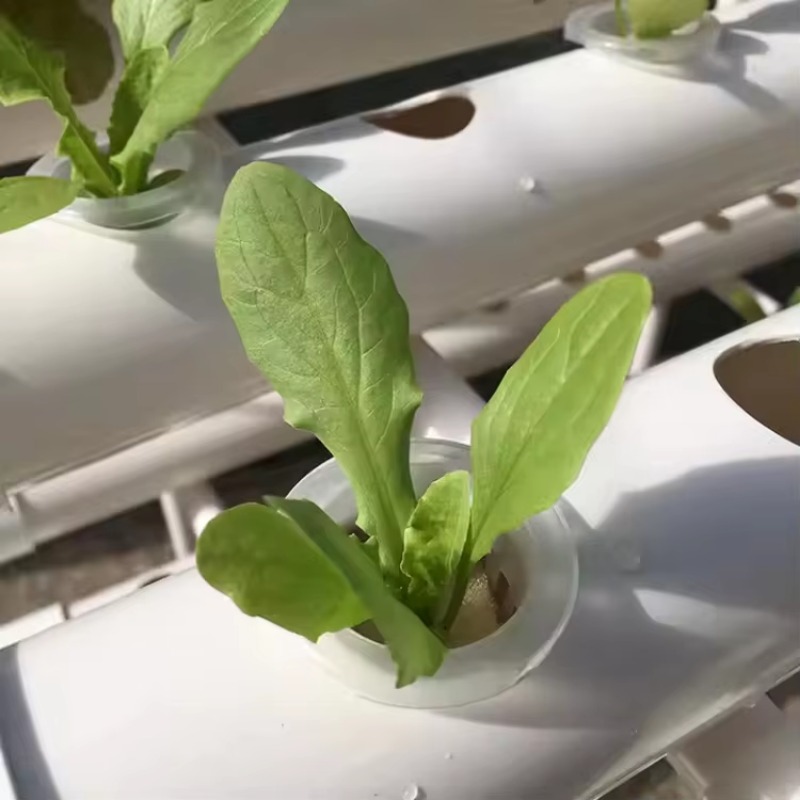 نظام زراعة مائي NFT بتصميم جدي - مراجعة Hydroponic Nft Channel وسعره