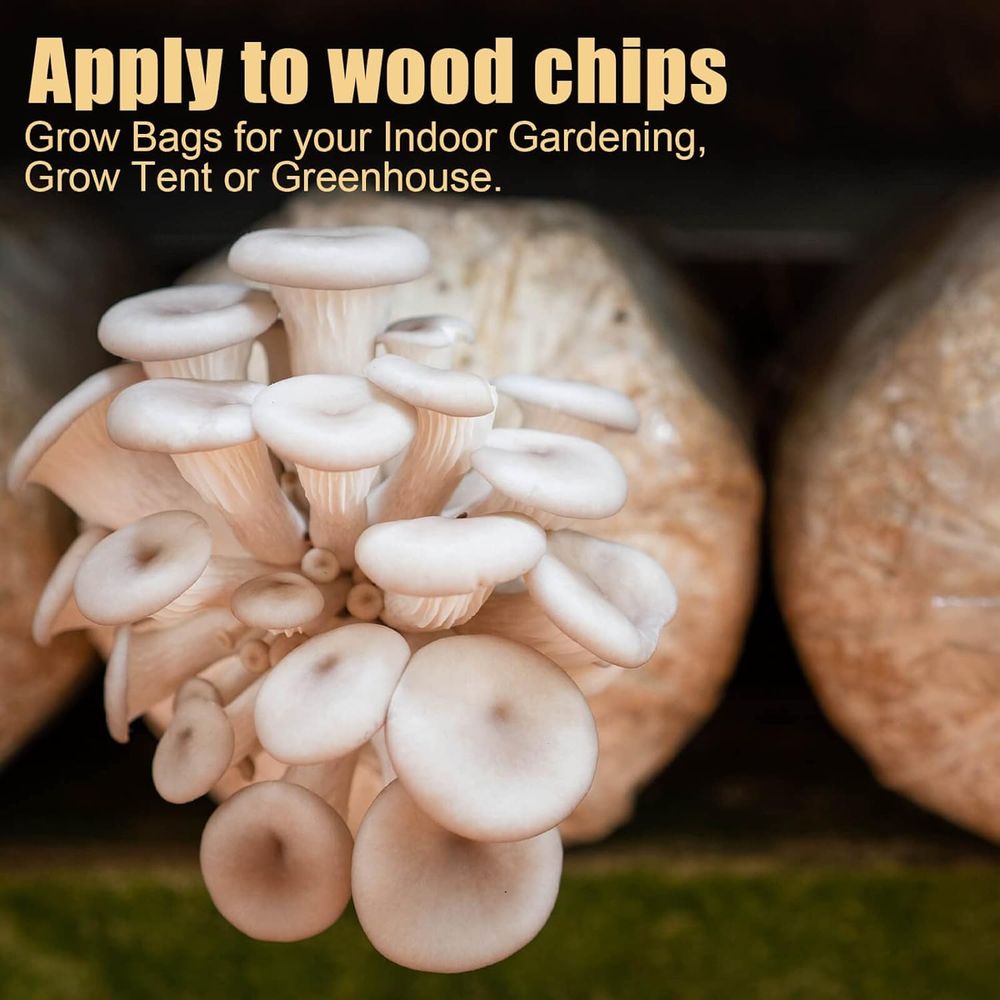 أكياس زراعة الفطر، 20 قطعة كبي - مراجعة Mushroom Spawn Bag وسعره