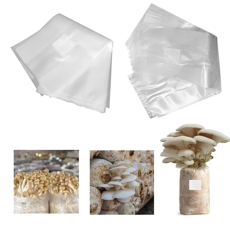 10/20 قطعة أكياس زراعة الفطر م - مراجعة Mushroom Spawn Bag وسعره