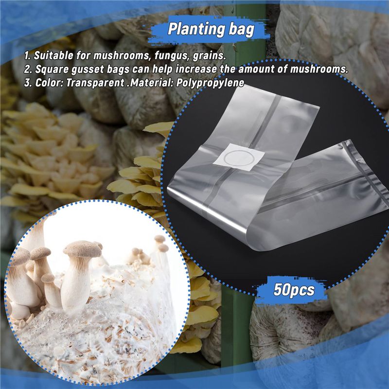 50 قطعة من أكياس زراعة الفطر م - مراجعة Mushroom Spawn Bag وسعره