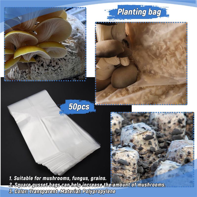 أكياس زراعة الفطر من البولي في - مراجعة Mushroom Spawn Bag وسعره