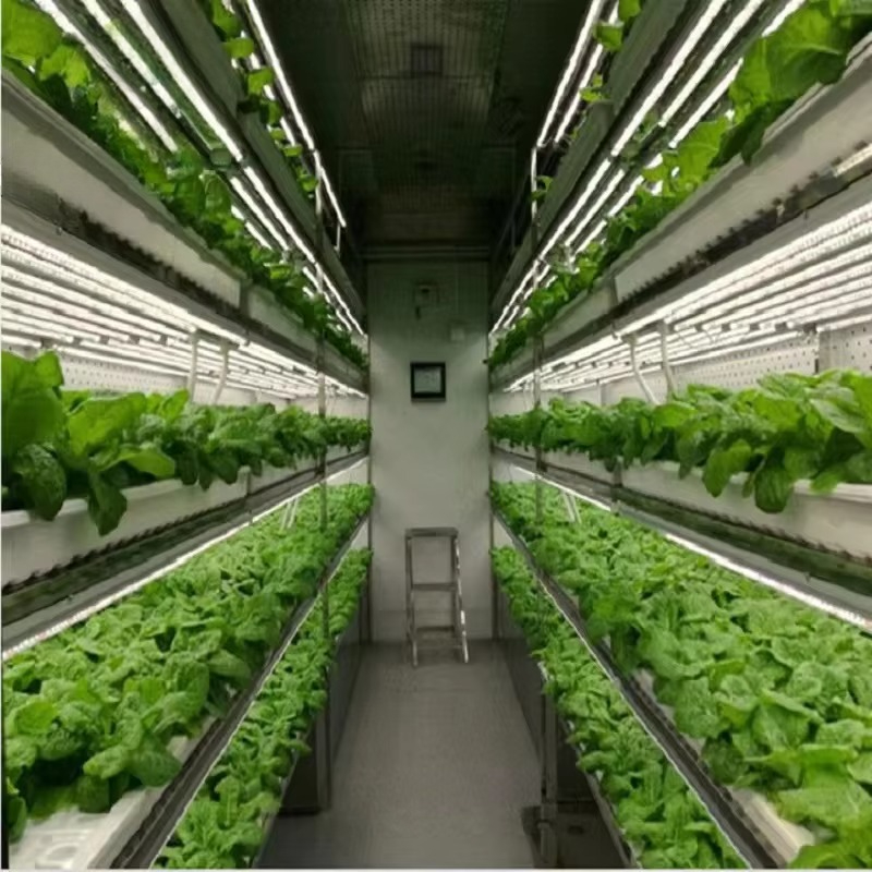 نظام حاويات زراعية مخصصة للزرا - مراجعة Agriculture Vertical Farming وسعره
