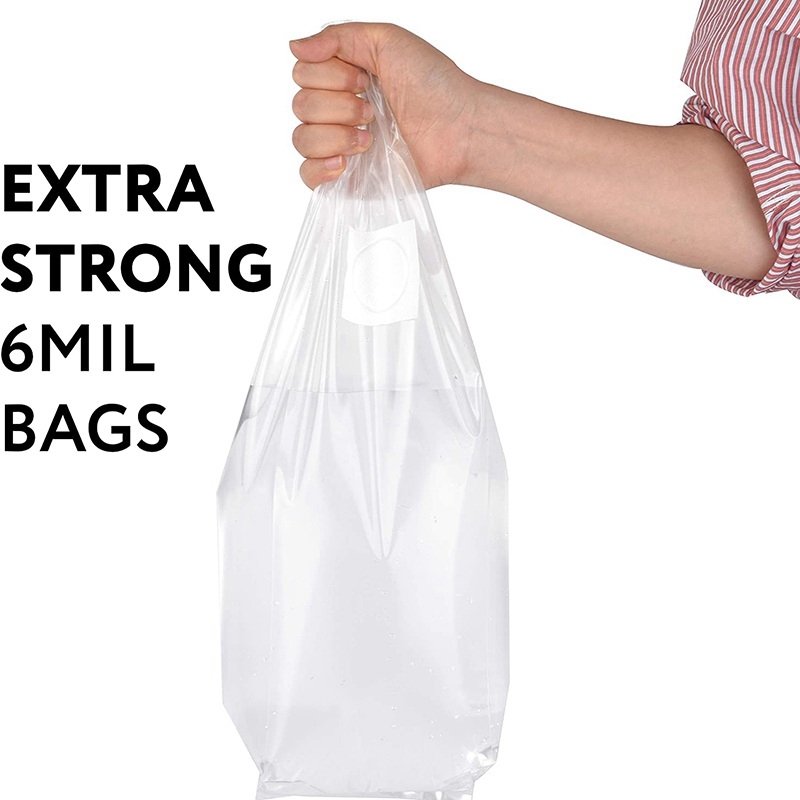 100 قطعة من أكياس زراعة الفطر، - مراجعة Mushroom Spawn Bag وسعره