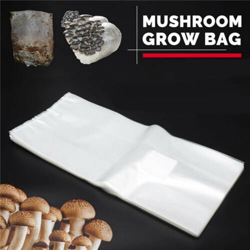 أكياس زراعة الفطر من البولي في - مراجعة Mushroom Spawn Bag وسعره