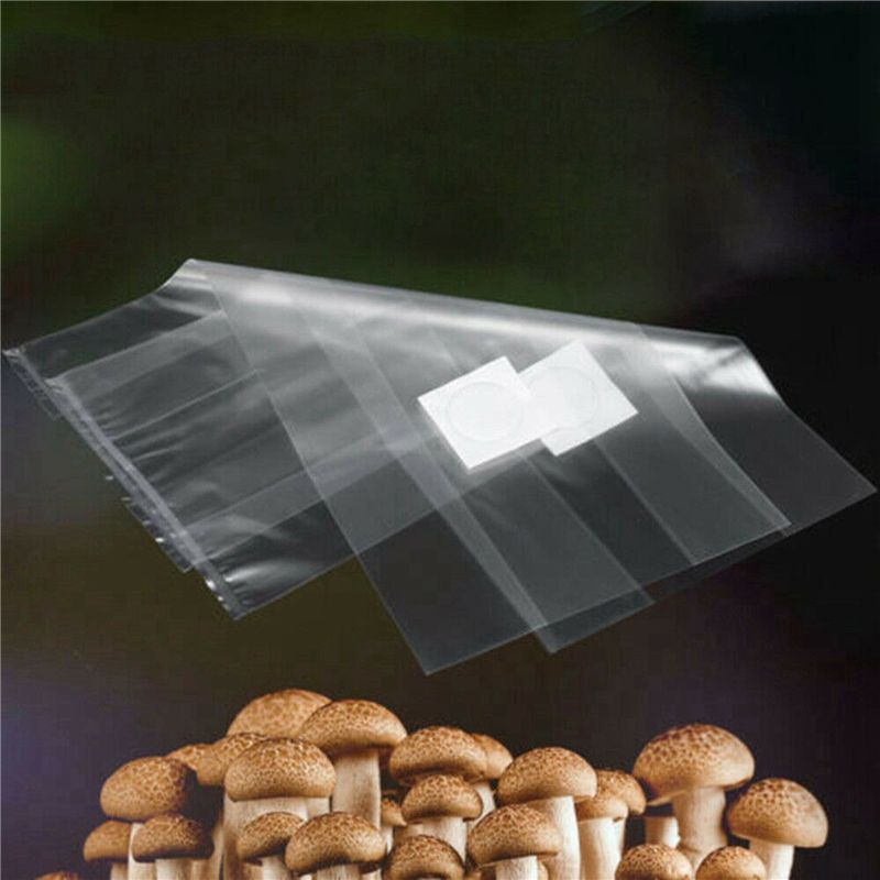 أكياس زراعة الفطر من البولي في - مراجعة Mushroom Spawn Bag وسعره