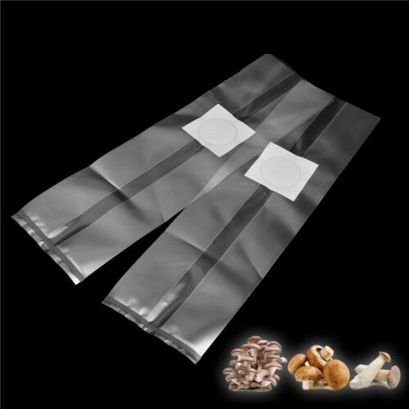 أكياس زراعة الفطر من البولي في - مراجعة Mushroom Spawn Bag وسعره