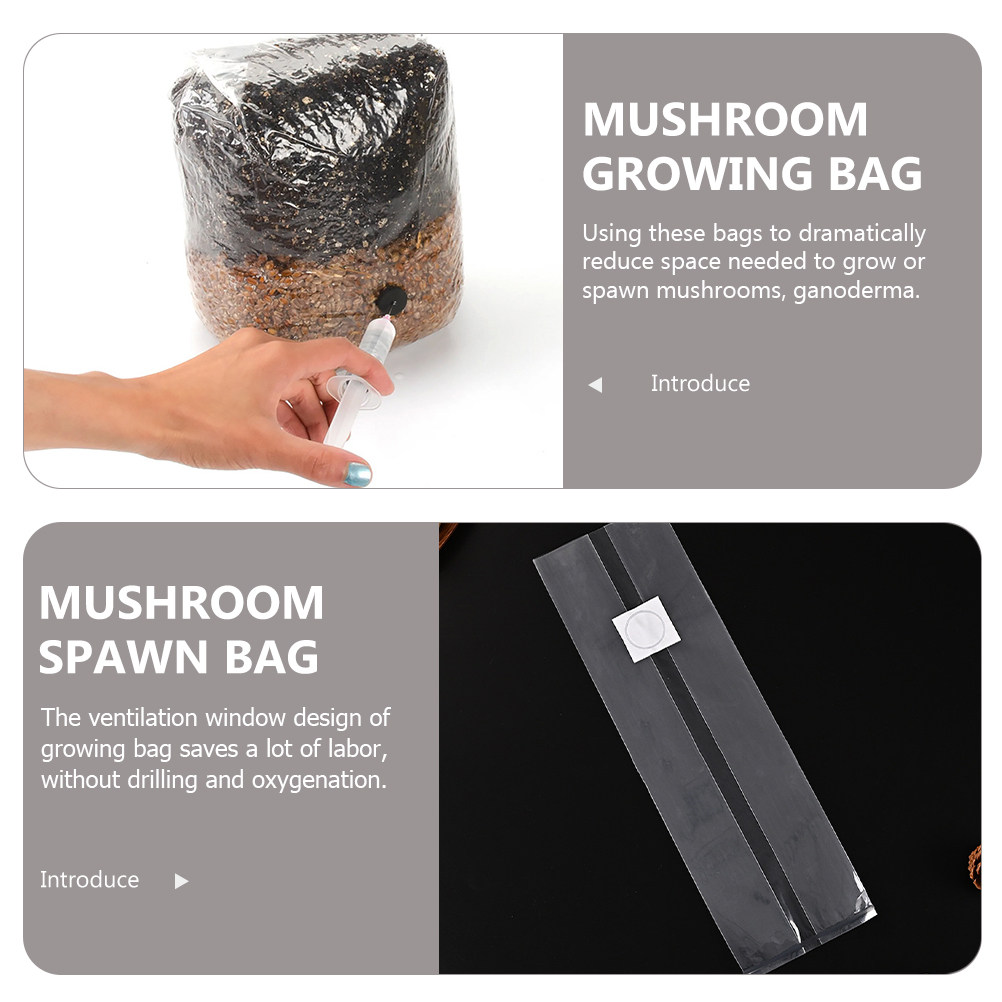 20 قطعة من أكياس زراعة الفطر ا - مراجعة Mushroom Spawn Bag وسعره
