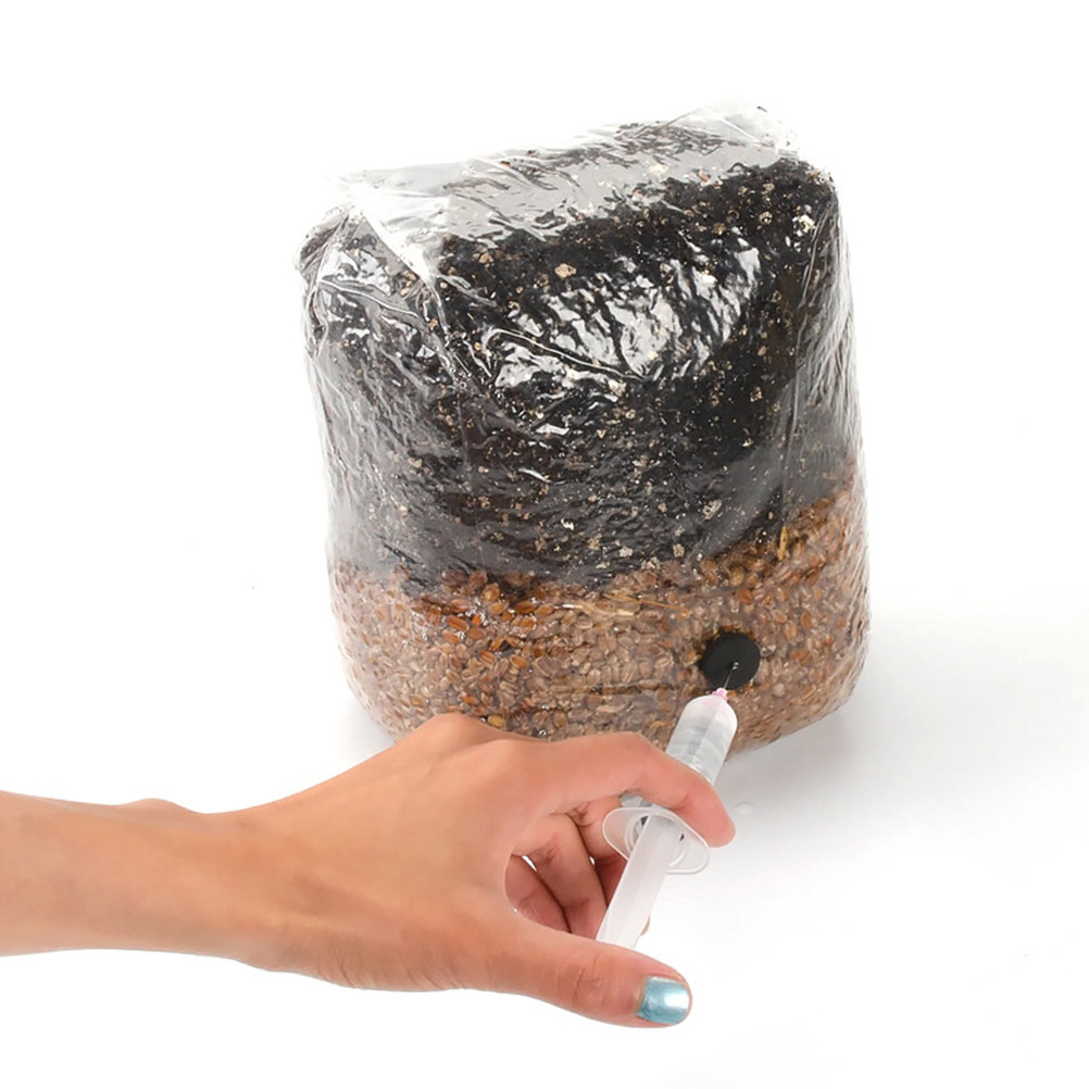 20 قطعة من أكياس زراعة الفطر ا - مراجعة Mushroom Spawn Bag وسعره