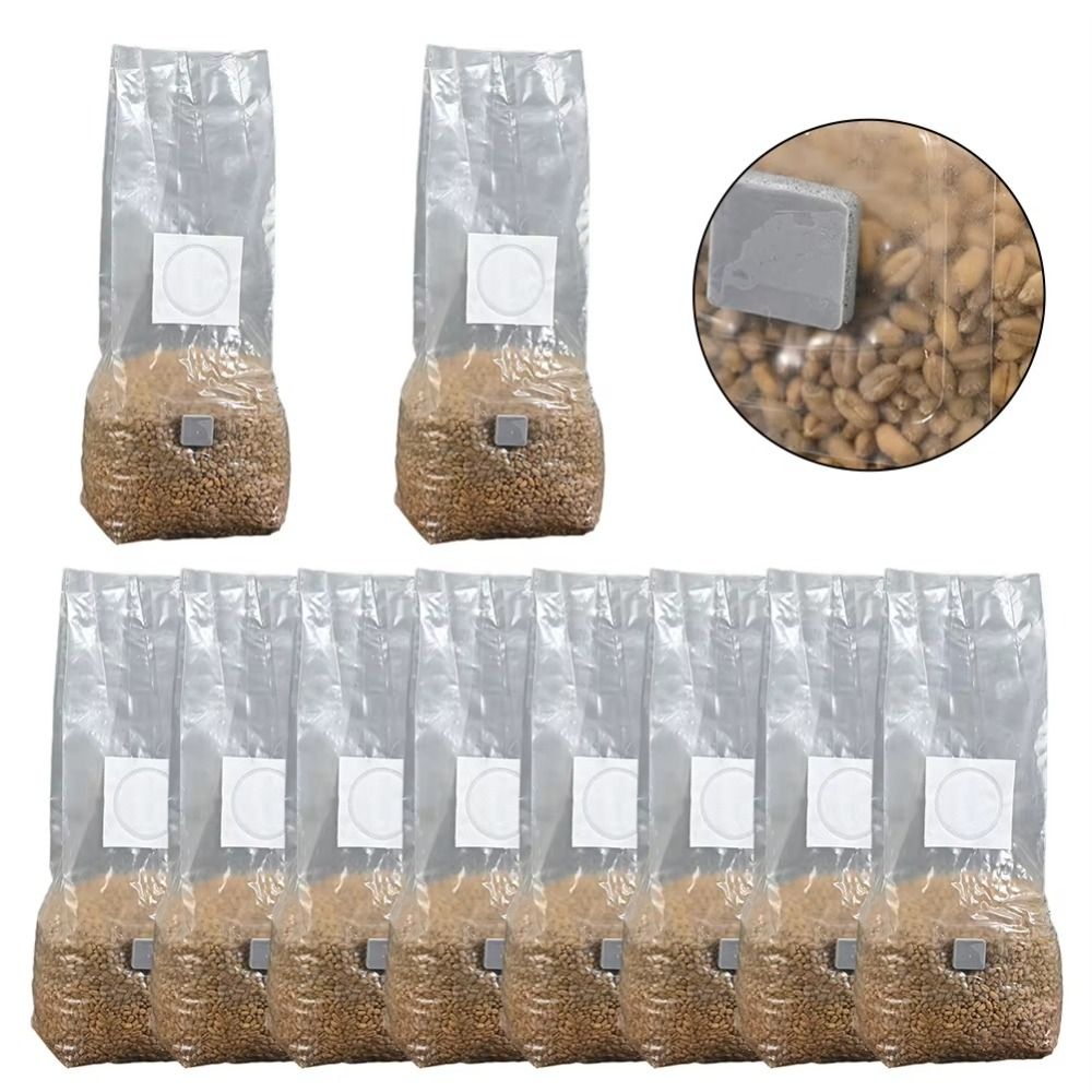 50 قطعة PP كيس زراعة الفطر 0.2 - مراجعة Mushroom Spawn Bag وسعره