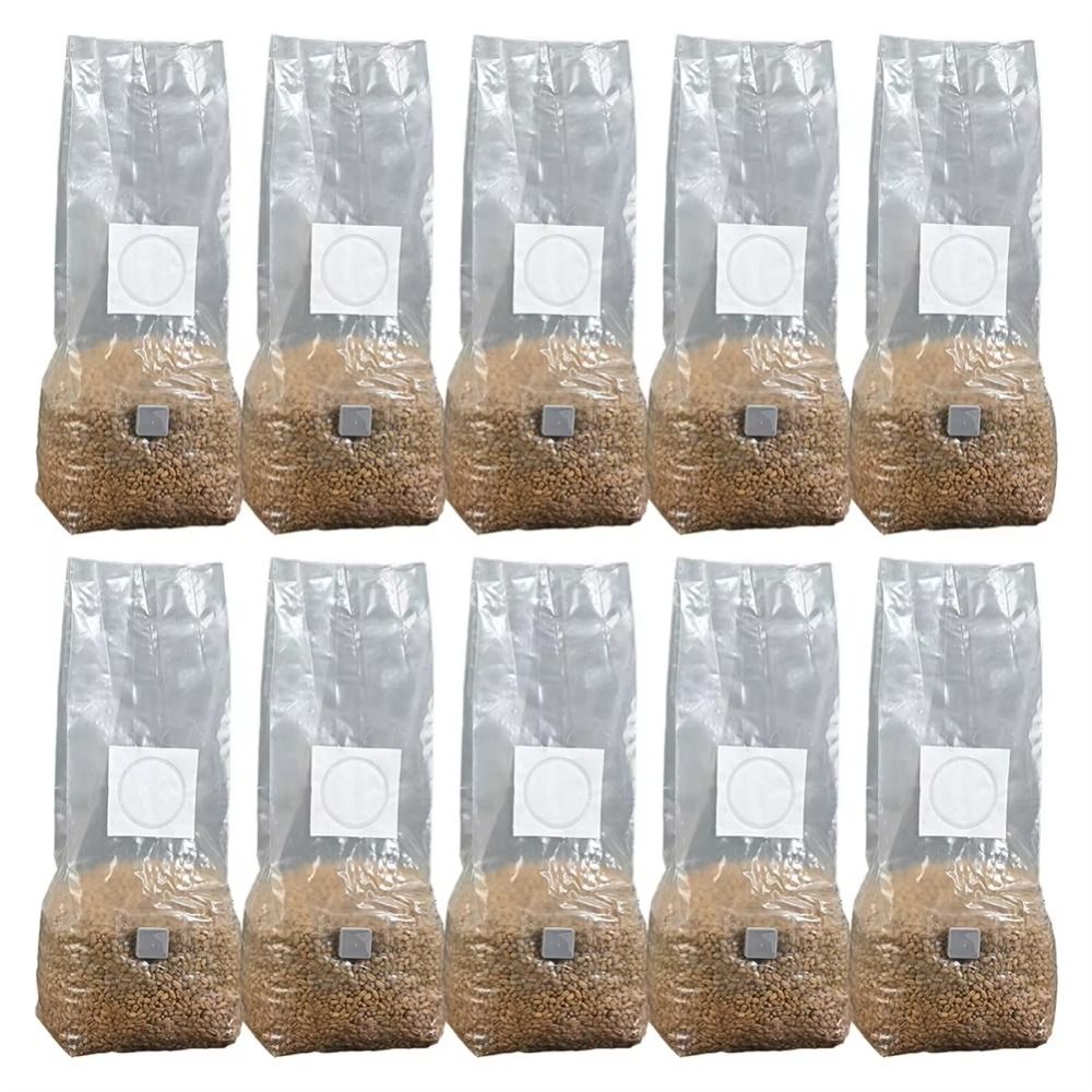 50 قطعة PP كيس زراعة الفطر 0.2 - مراجعة Mushroom Spawn Bag وسعره