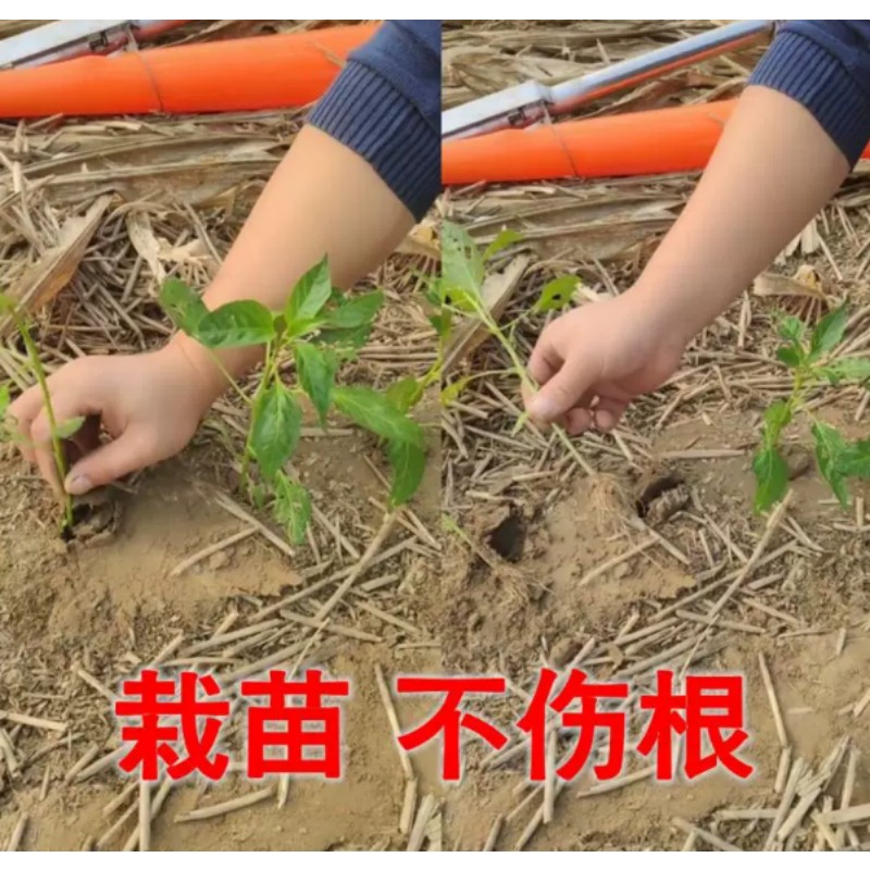 أداة زراعية لزراعة الشتلات في  - مراجعة Farming Agriculture Tools وسعره