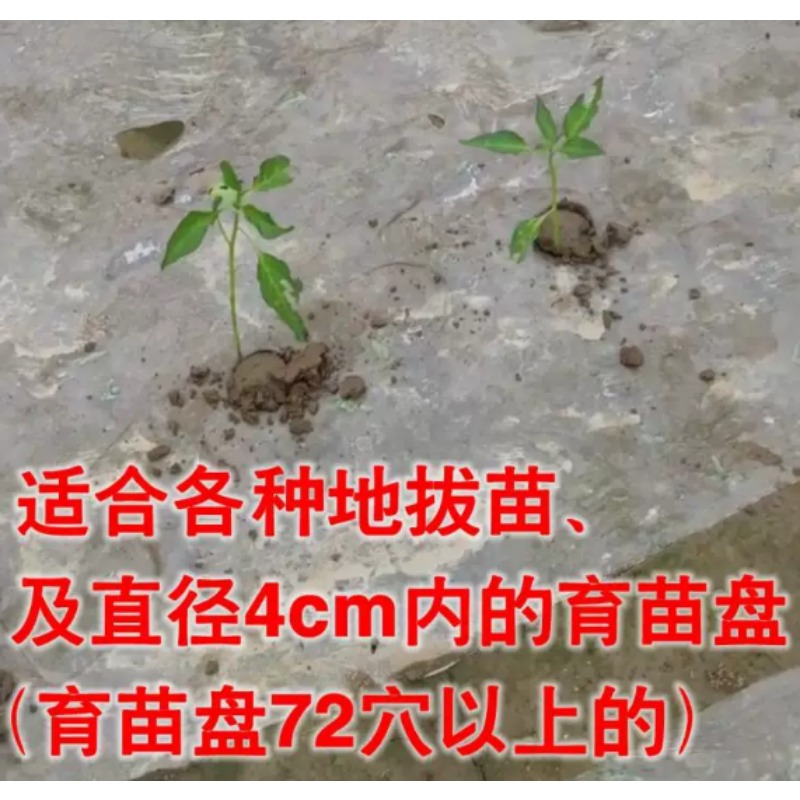 أداة زراعية لزراعة الشتلات في  - مراجعة Farming Agriculture Tools وسعره