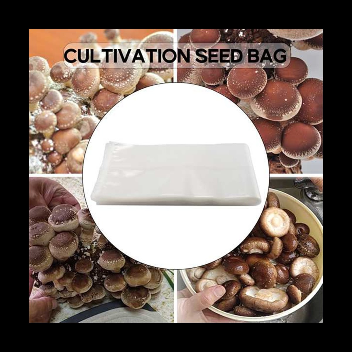 أكياس فطر A78I مكونة من 50 قطع - مراجعة Mushroom Spawn Bag وسعره